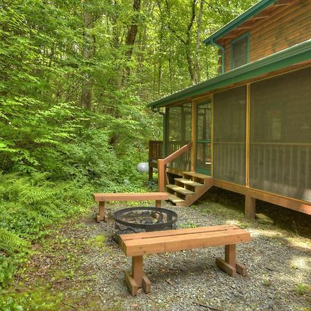 K6 Lodge Gather Around The Firepit Soak In The Hot Tub And Splash In The Creek Blue Ridge Dış mekan fotoğraf